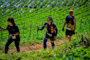 BIB: 2534
                            <button type="button" onclick="openModal(19164699)" class="btn btn-primary btn-sm float-right btn-popup" data-toggle="modal" data-target=".modal-high-quality">
                        <i class="fas fa-shopping-cart"></i> Add to Cart
                    </button>
                                            <button type="button" onclick="isThisMe(19164699, true)" class="btn btn-success btn-sm float-right btn-popup btn-isme hidden" data-toggle="tooltip" data-placement="bottom" title="นี่คือรูปของคุณใช่ไหม คลิกที่นี่เพื่อเอาเข้าอัลบั้ม">
                        <i class="fas fa-plus"></i> Add to album
                    </button>
                    <button type="button" onclick="isThisMe(19164699, false)" class="btn btn-warning btn-sm float-right btn-popup btn-isnotme hidden">
                        <i class="fas fa-ban"></i> Remove from album
                    </button>